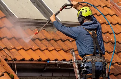 Démoussage et hydrofuge de toiture à Pleaux